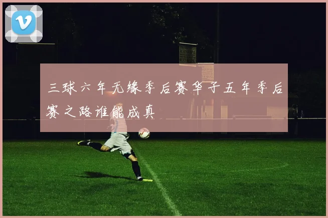 三球六年无缘季后赛华子五年季后赛之路谁能成真