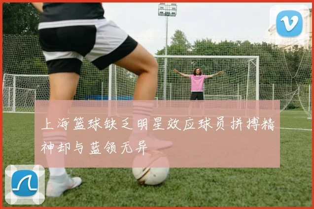 上海篮球缺乏明星效应球员拼搏精神却与蓝领无异