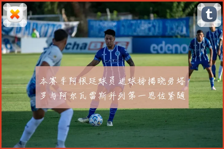 本赛季阿根廷球员进球榜揭晓劳塔罗与阿尔瓦雷斯并列第一恩佐紧随其后