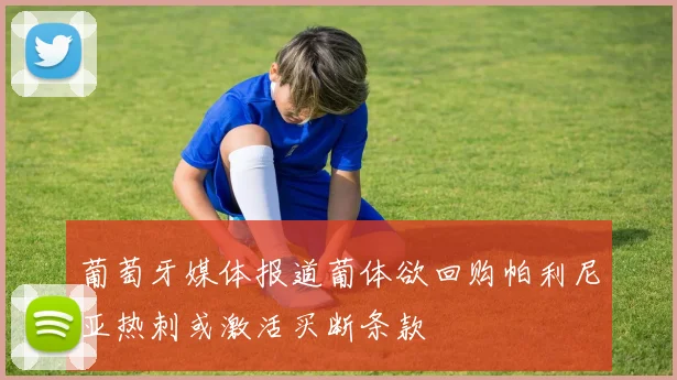 葡萄牙媒体报道葡体欲回购帕利尼亚热刺或激活买断条款