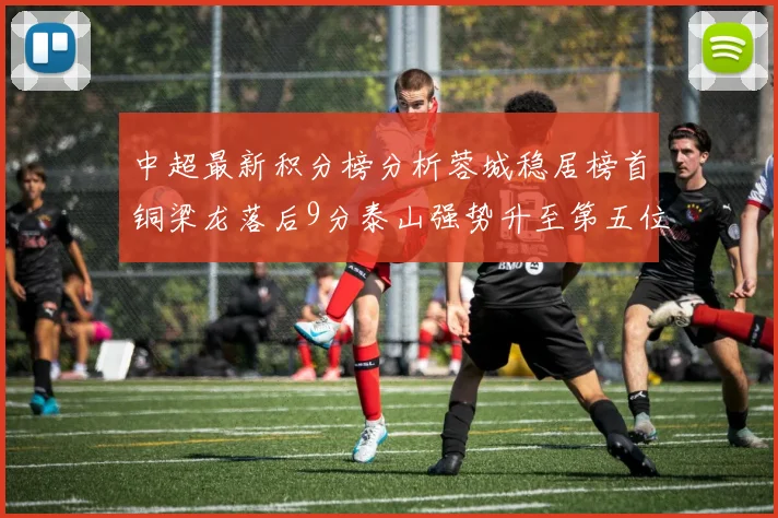 中超最新积分榜分析蓉城稳居榜首铜梁龙落后9分泰山强势升至第五位津门虎积分清零